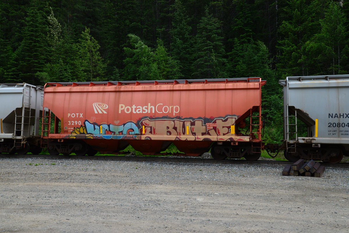 DSC_1929.JPG