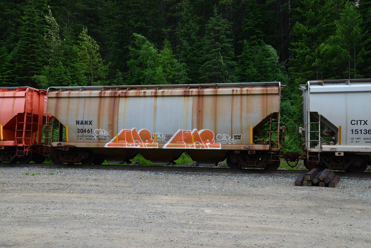DSC_1931.JPG