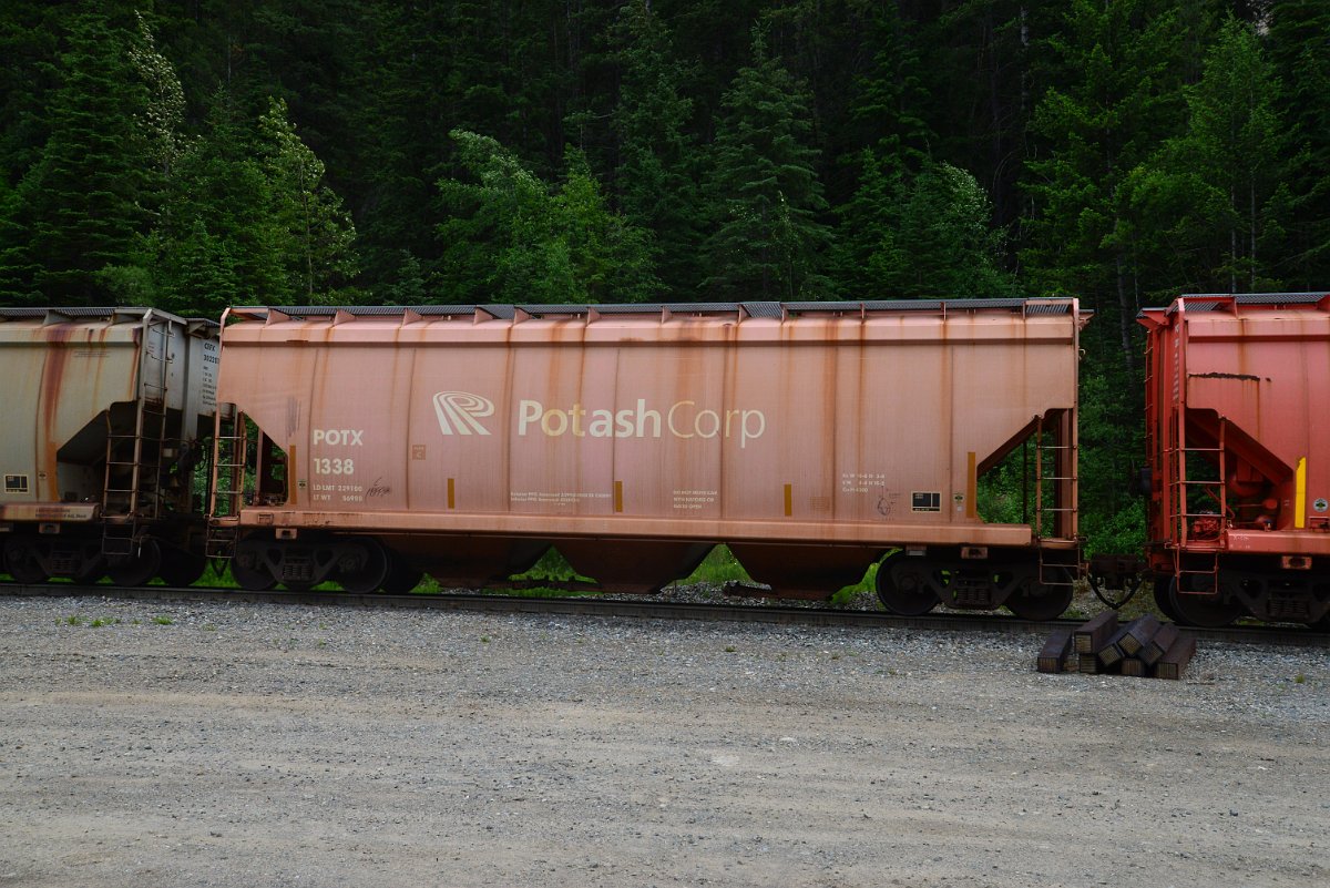 DSC_1933.JPG