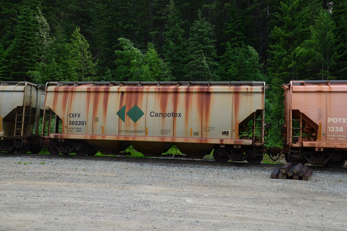 DSC_1934.JPG