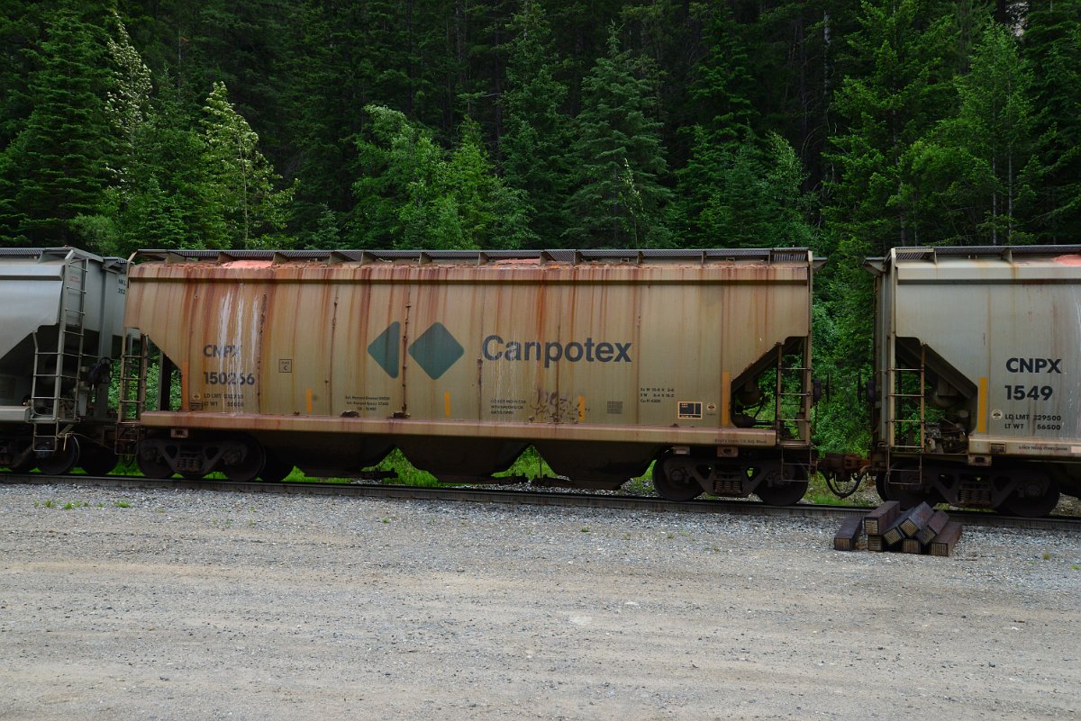 DSC_1936.JPG