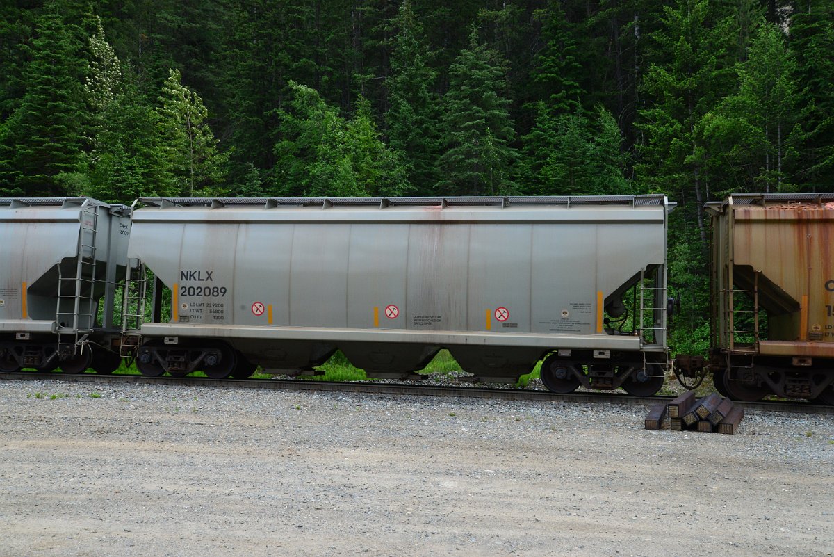 DSC_1937.JPG