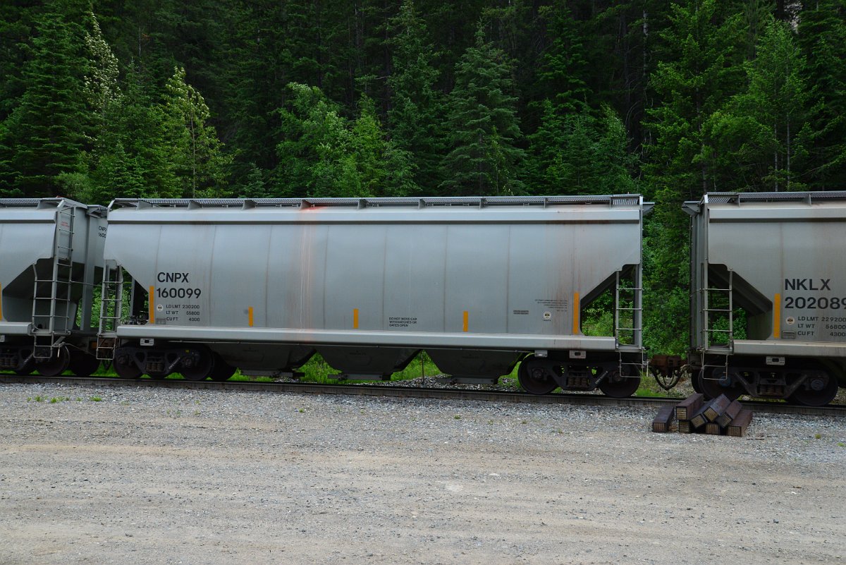 DSC_1938.JPG
