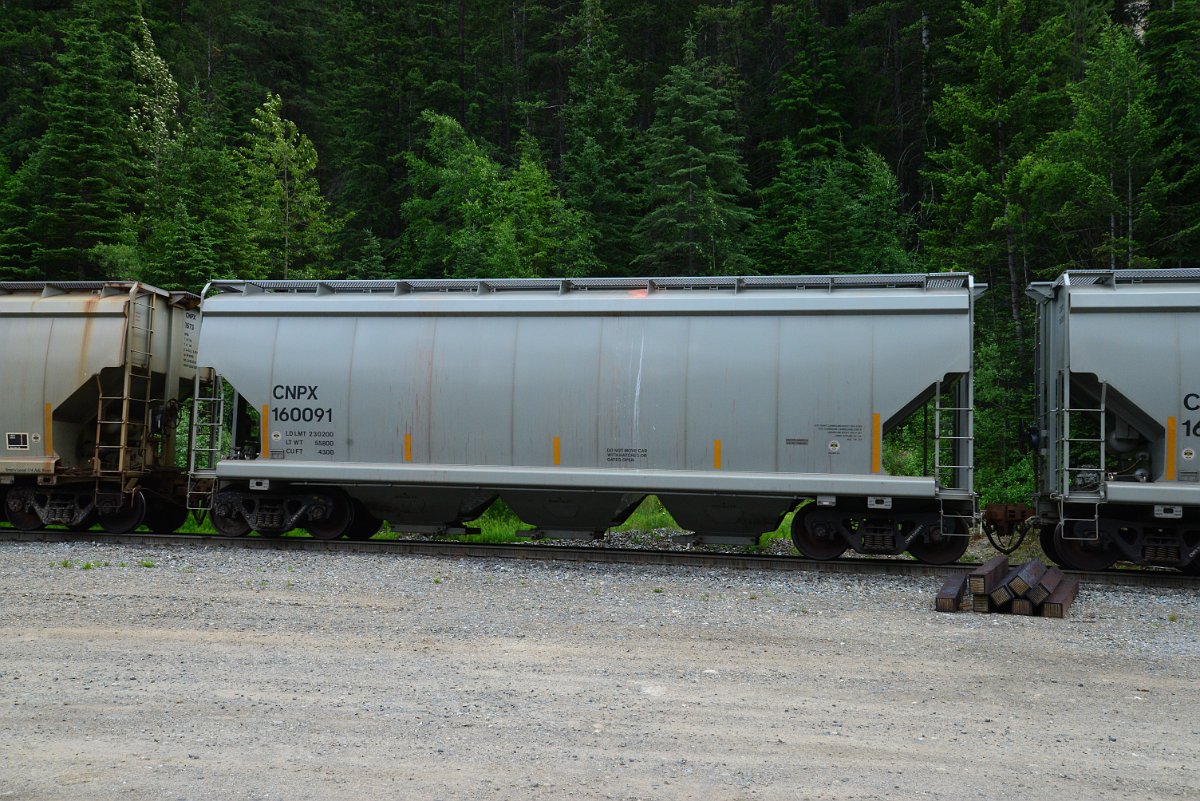 DSC_1939.JPG