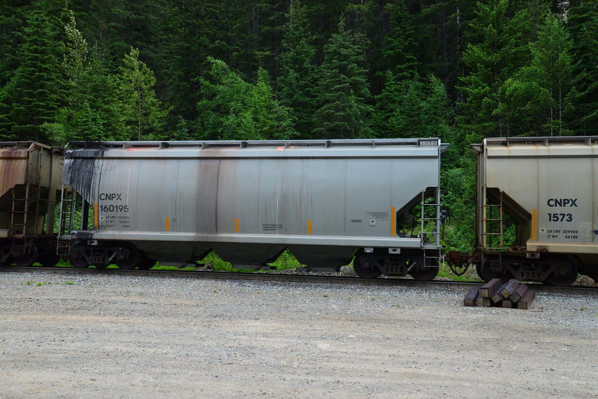 DSC_1941.JPG