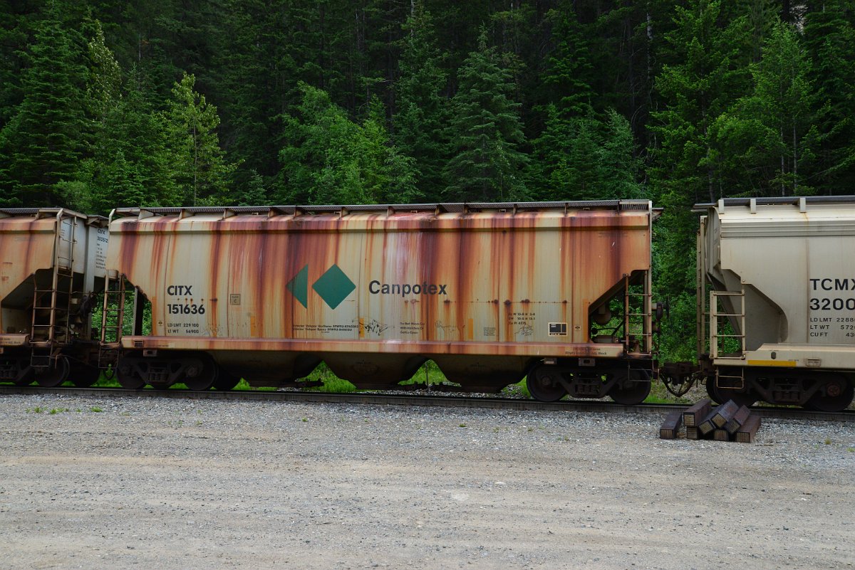 DSC_1947.JPG
