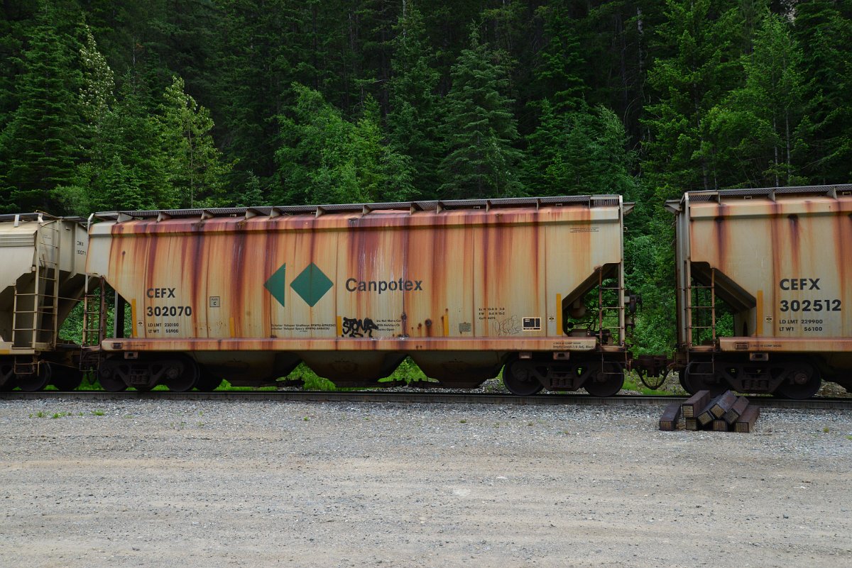 DSC_1949.JPG