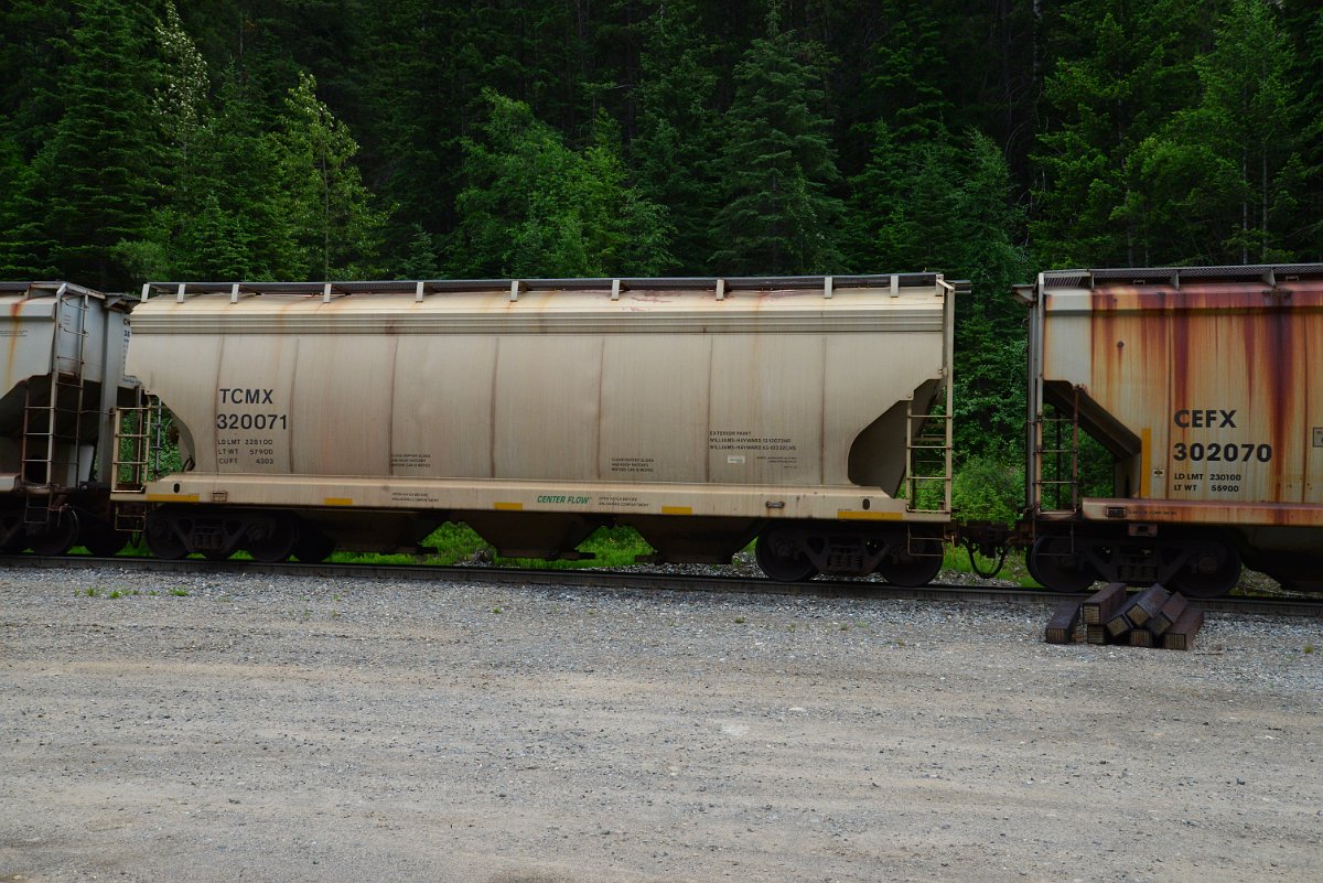 DSC_1950.JPG