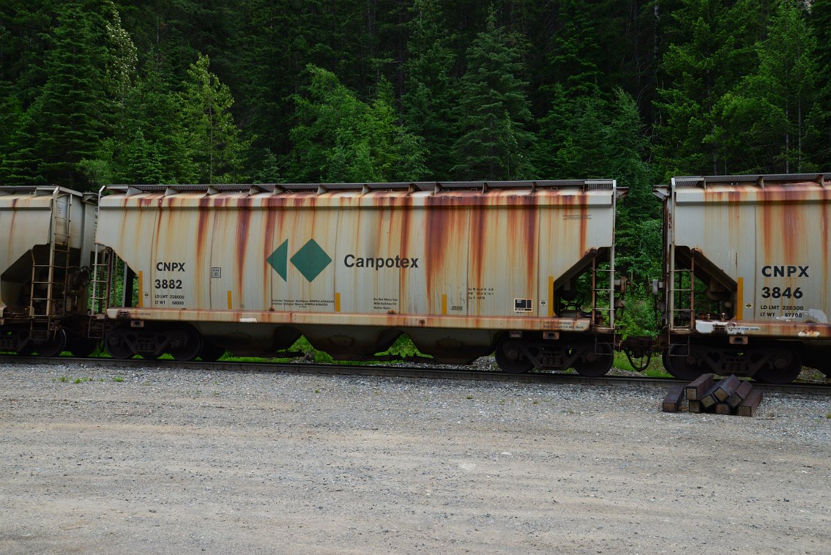 DSC_1952.JPG