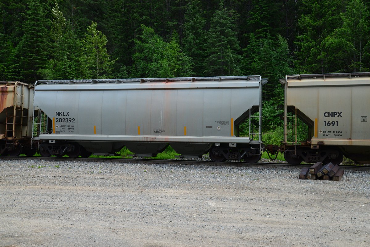 DSC_1954.JPG