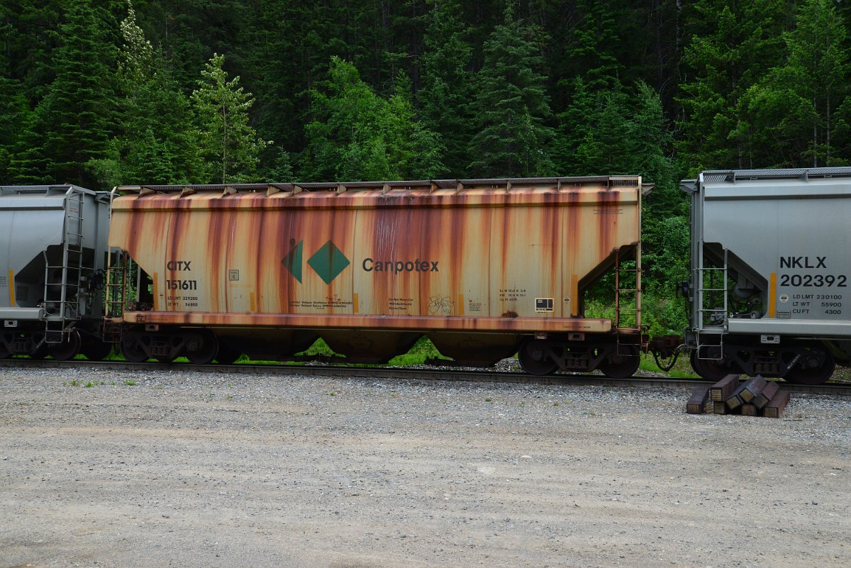 DSC_1955.JPG