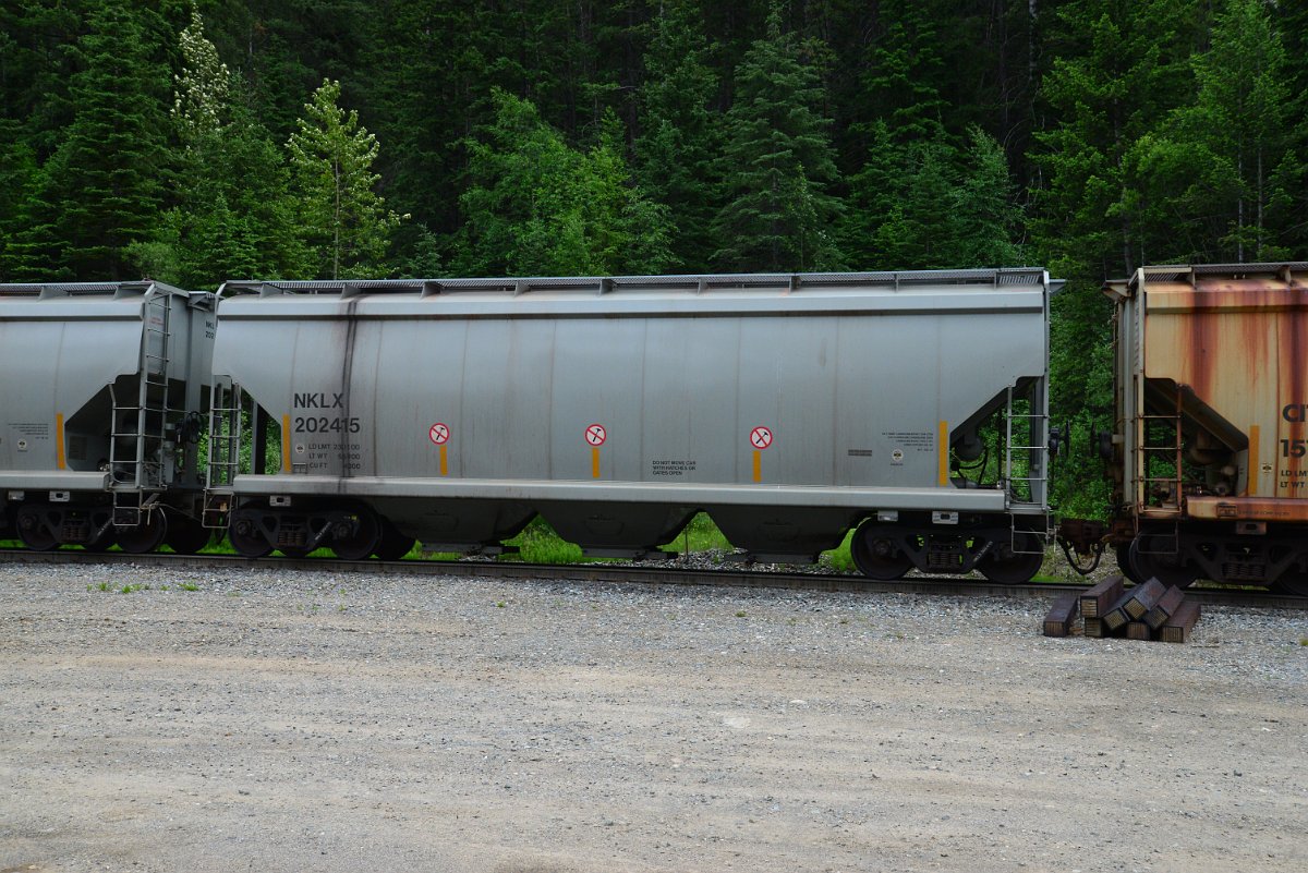 DSC_1956.JPG