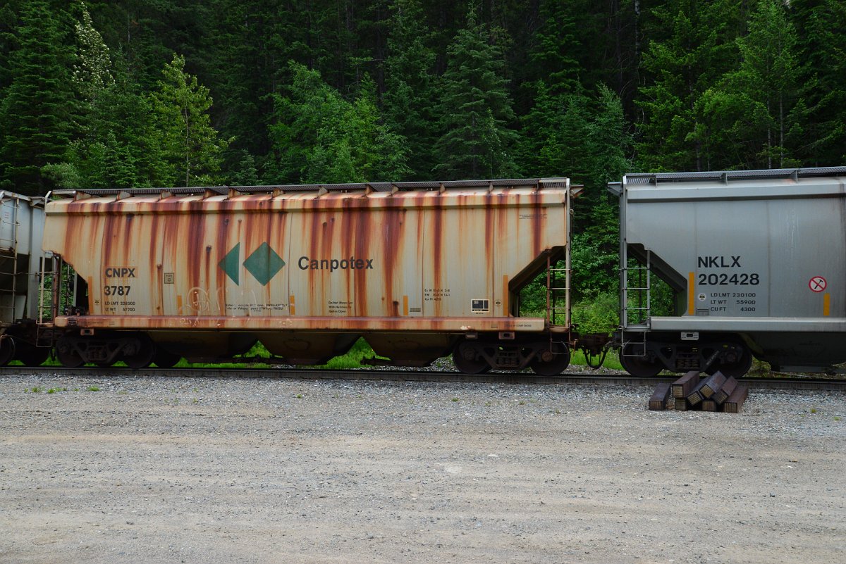 DSC_1958.JPG