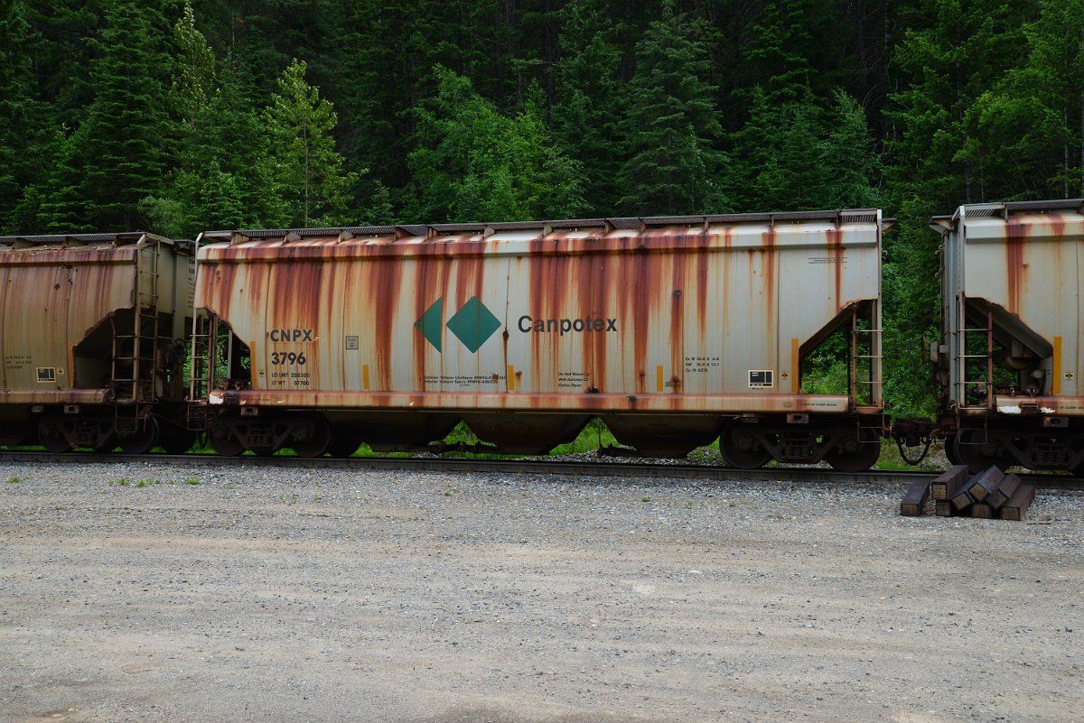DSC_1960.JPG