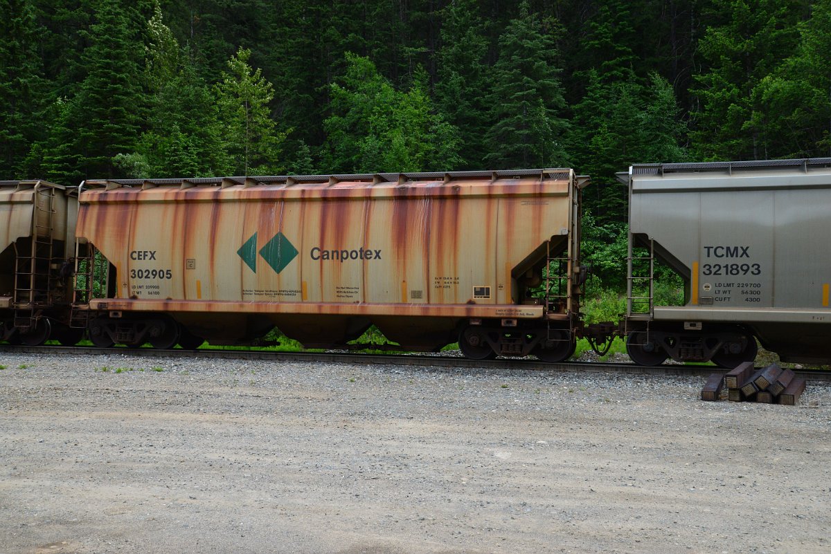 DSC_1963.JPG