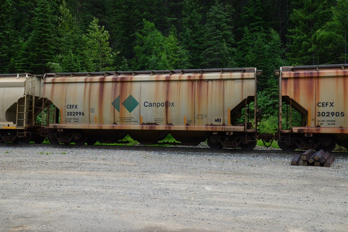 DSC_1964.JPG