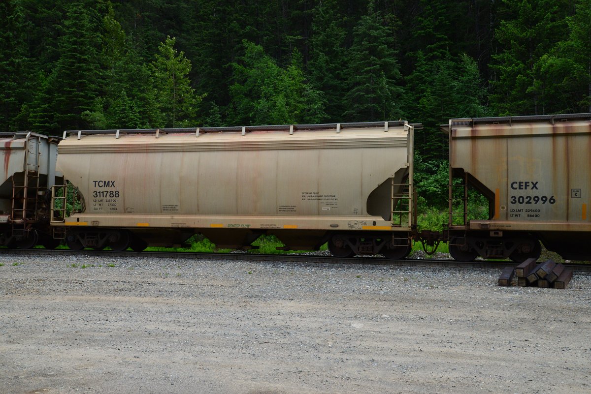DSC_1965.JPG