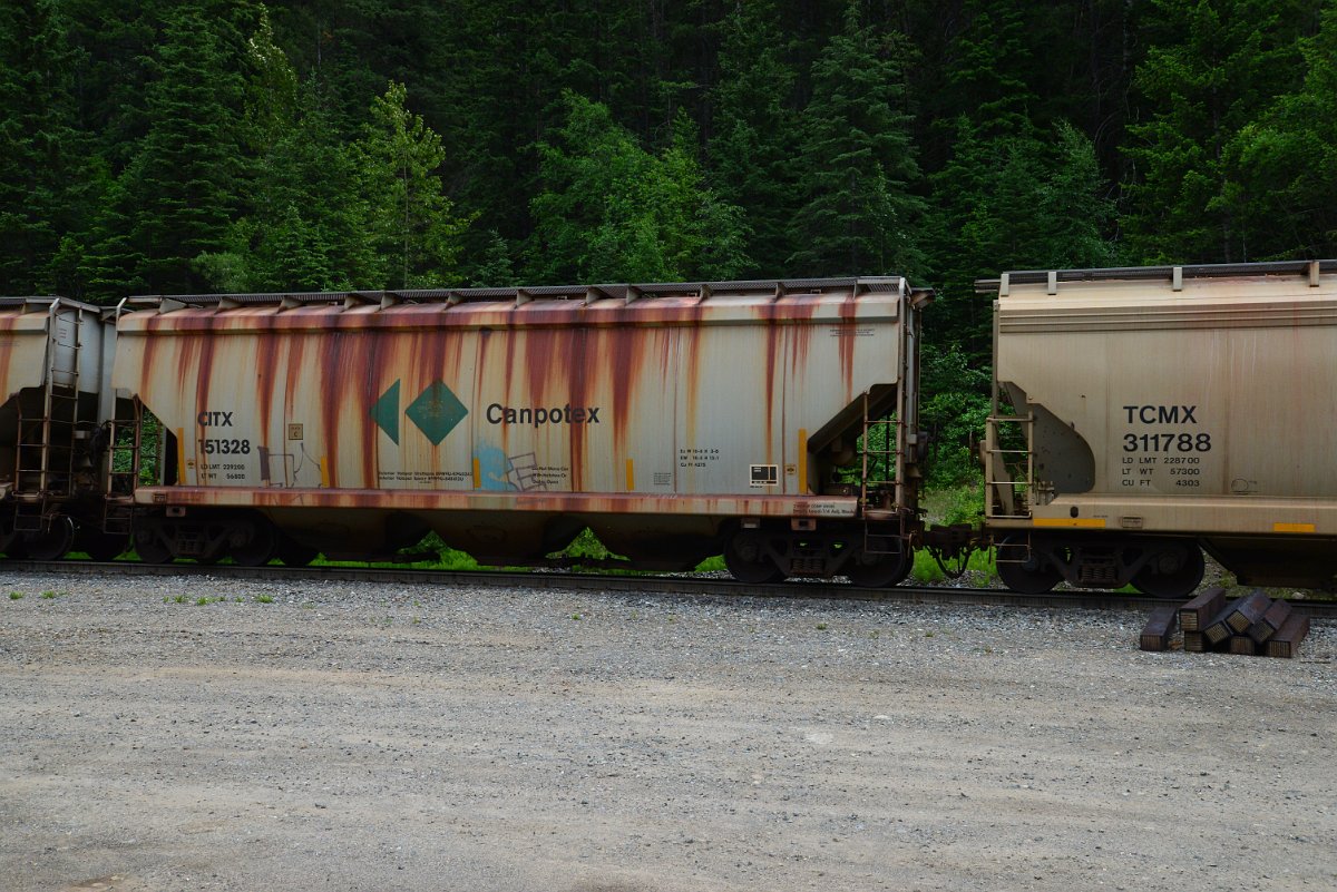 DSC_1966.JPG