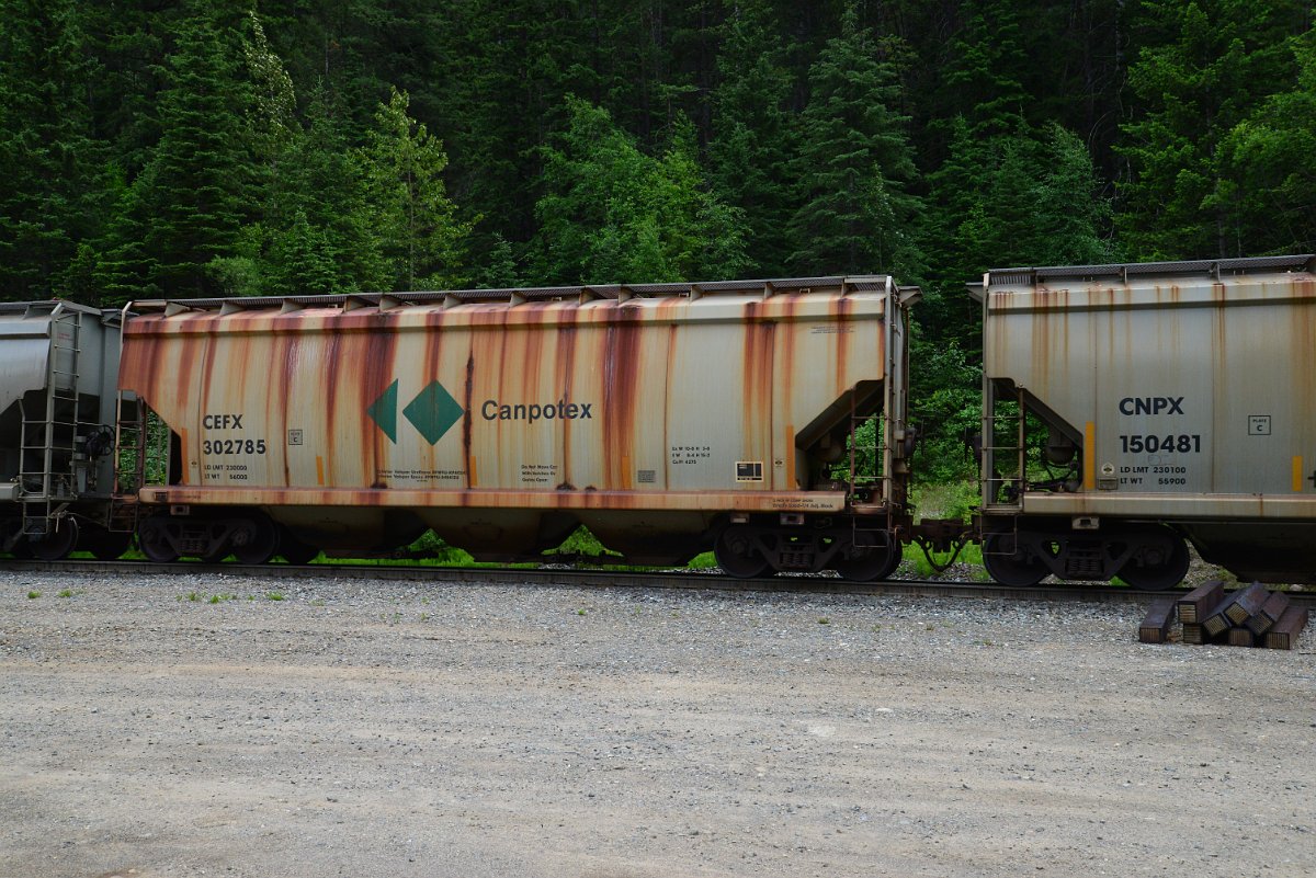 DSC_1972.JPG
