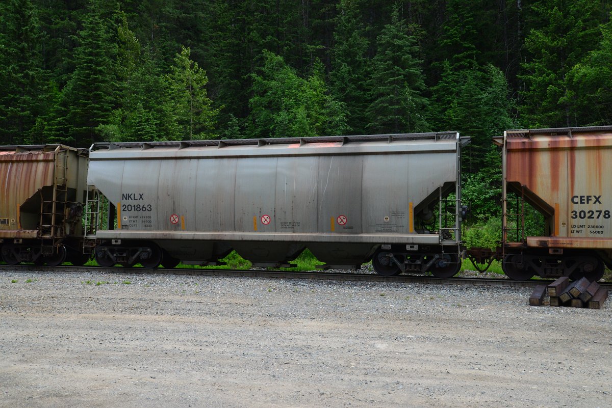 DSC_1973.JPG