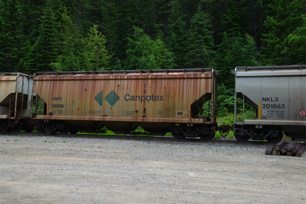 DSC_1974.JPG