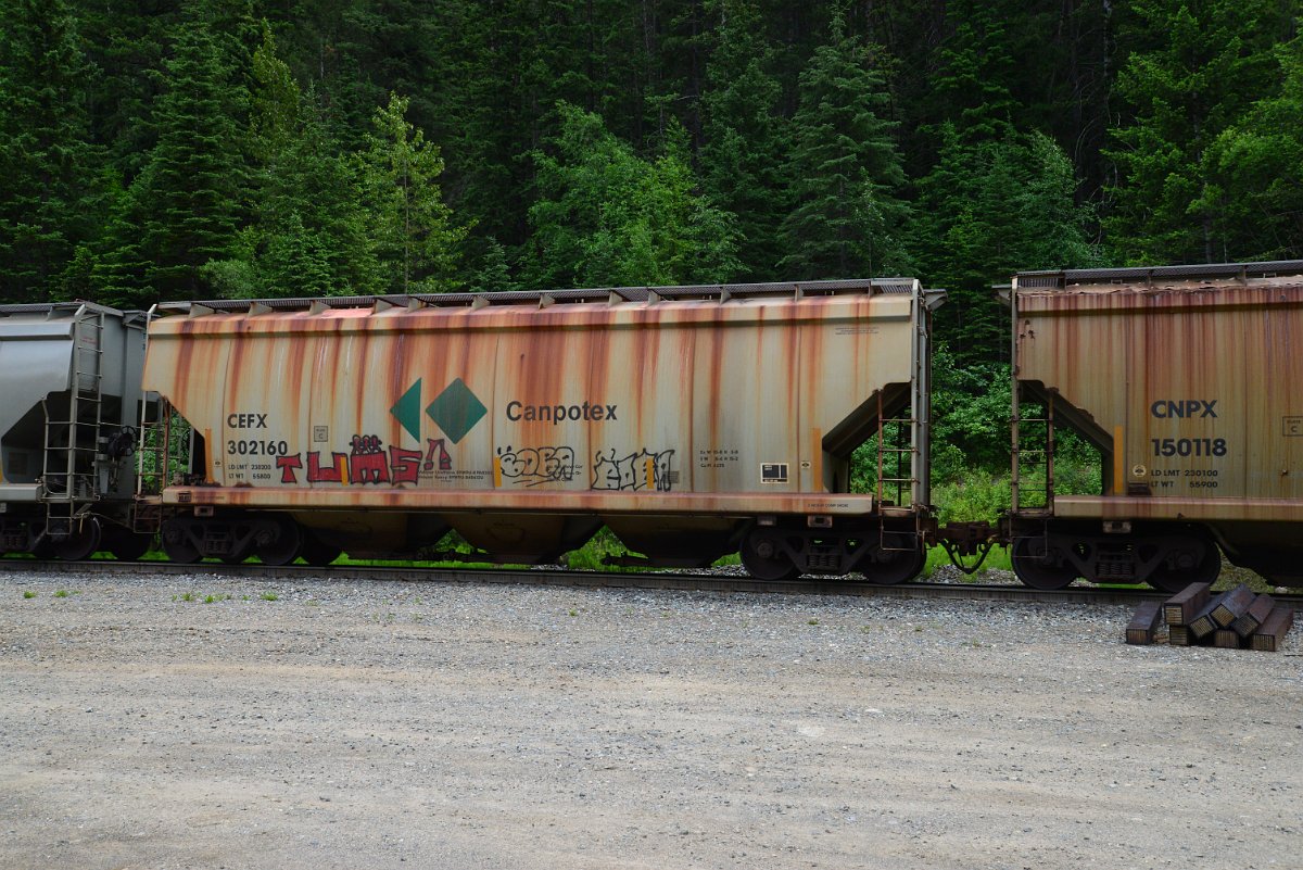 DSC_1975.JPG