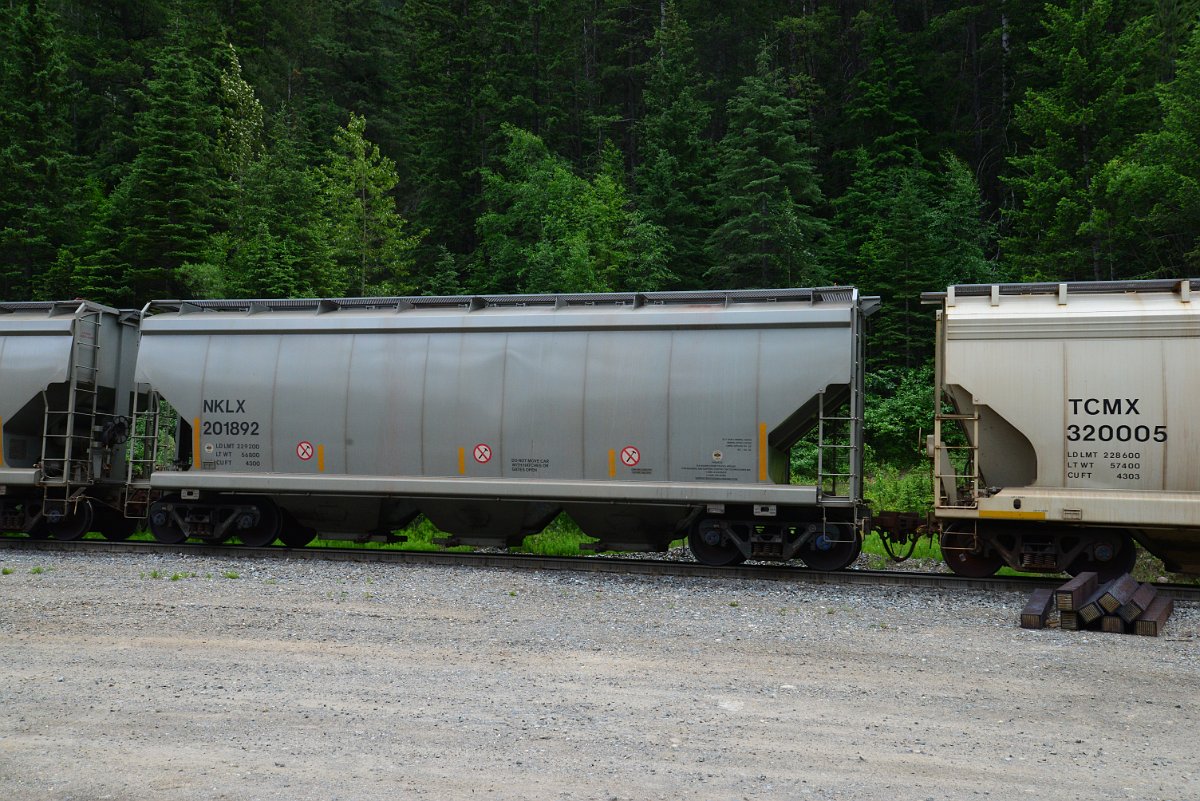 DSC_1981.JPG