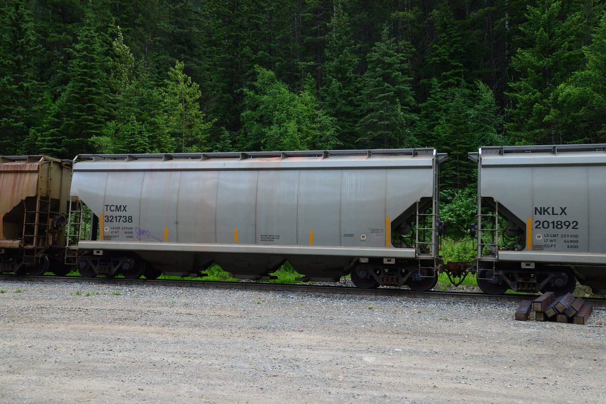 DSC_1982.JPG