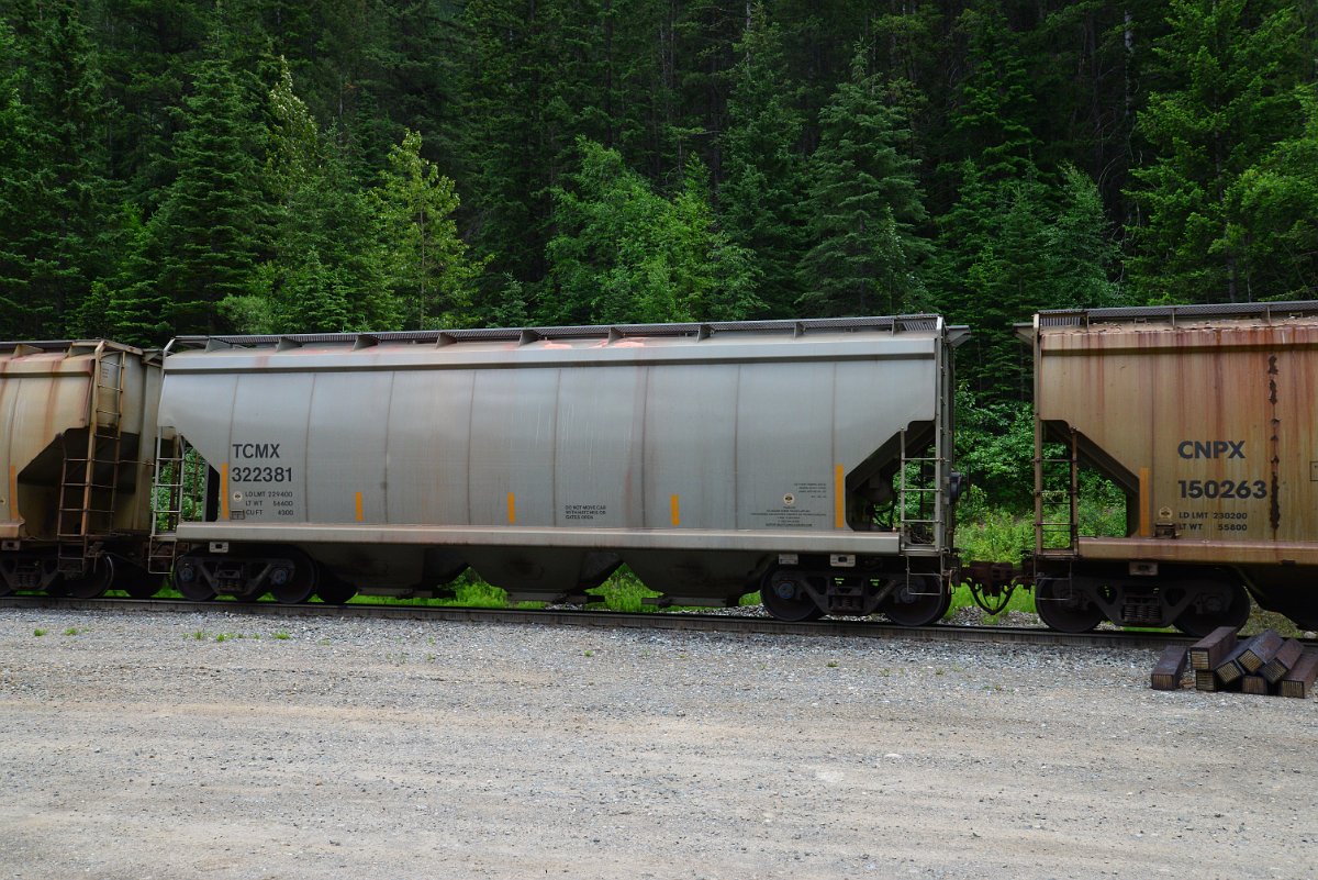 DSC_1984.JPG
