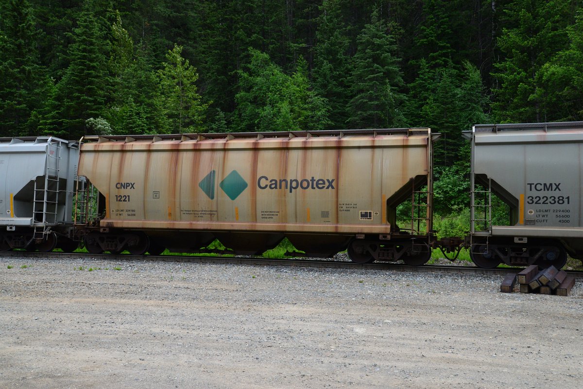 DSC_1985.JPG