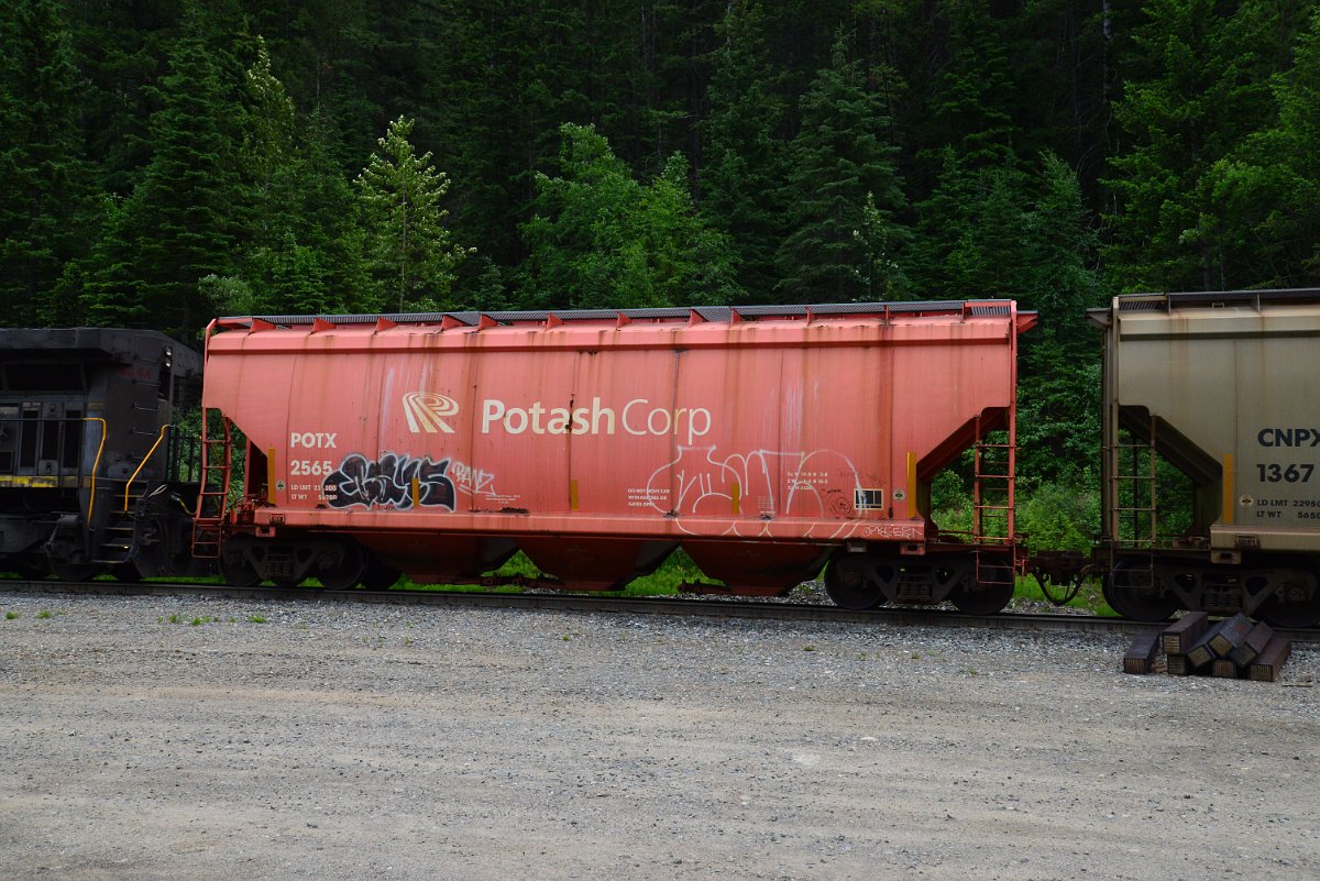 DSC_1989.JPG