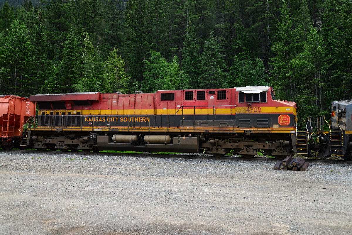 DSC_1992.JPG