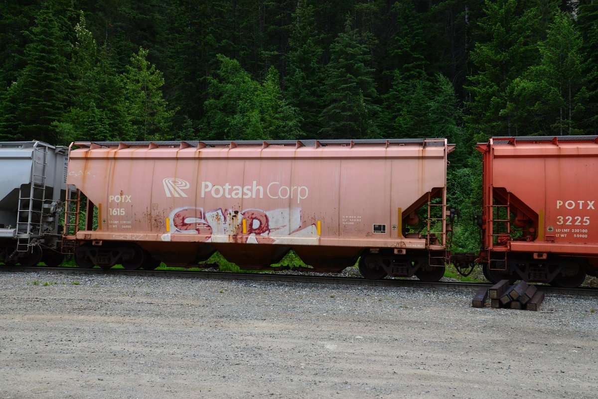 DSC_1994.JPG