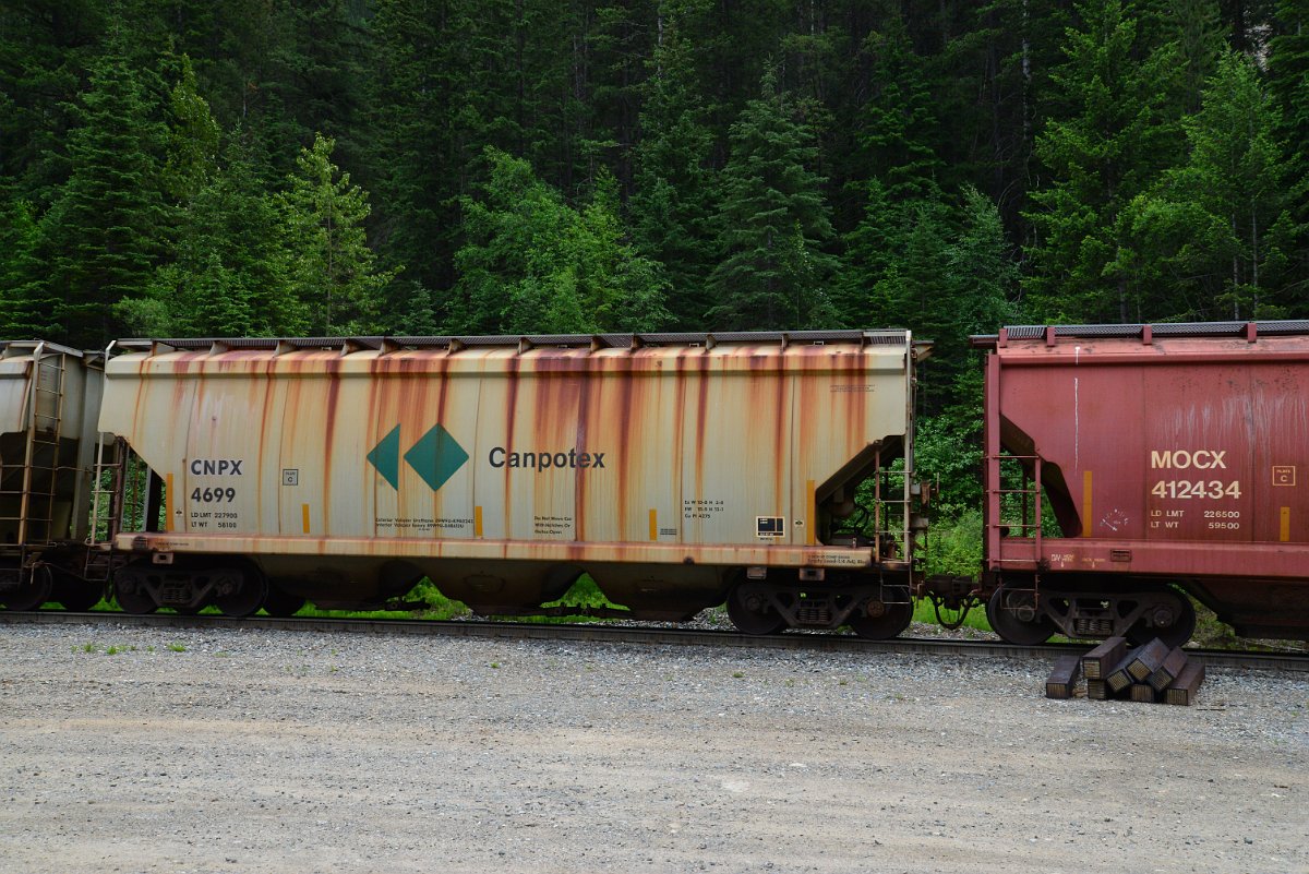 DSC_1998.JPG