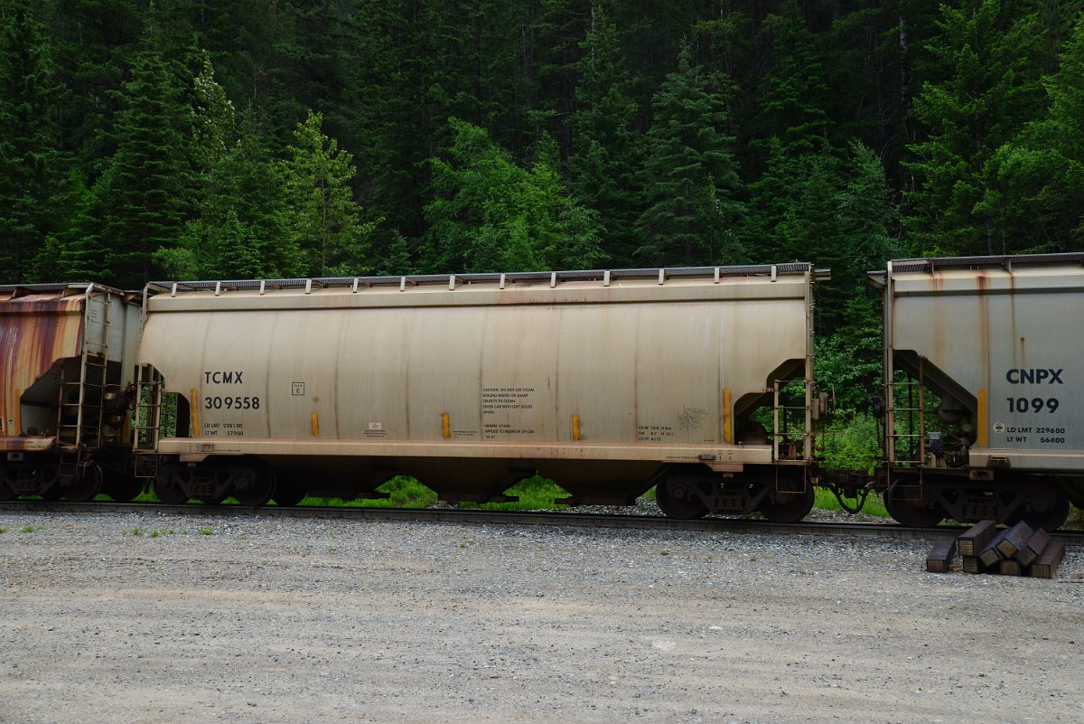 DSC_2000.JPG