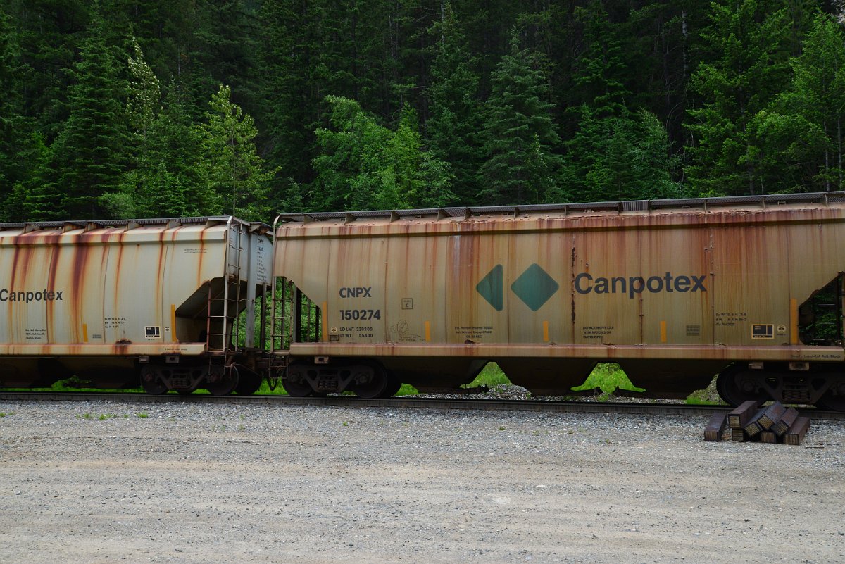 DSC_2002.JPG