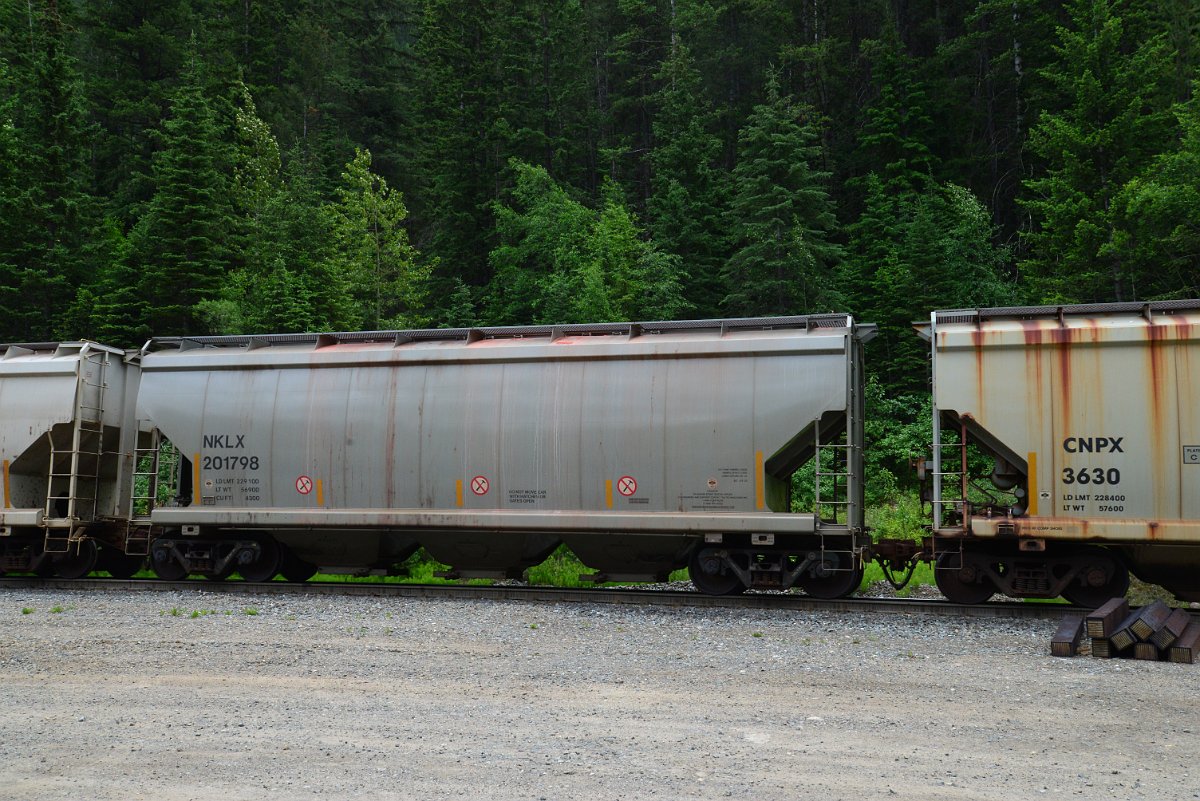 DSC_2004.JPG
