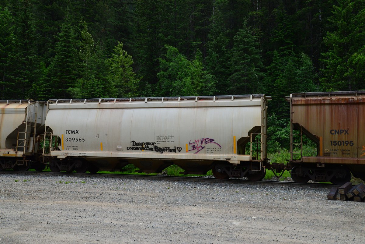 DSC_2016.JPG
