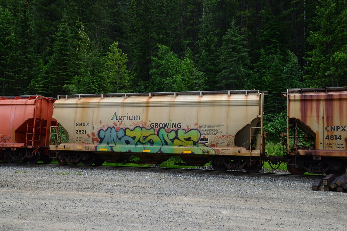 DSC_2019.JPG