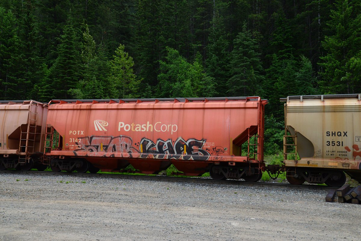 DSC_2020.JPG