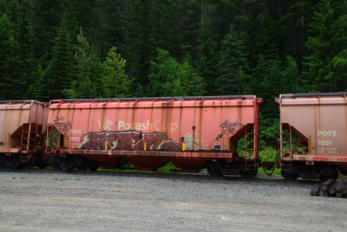 DSC_2022.JPG