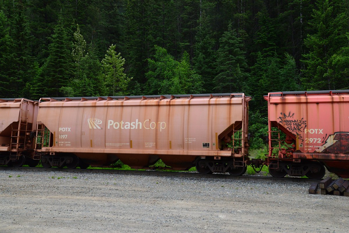 DSC_2023.JPG