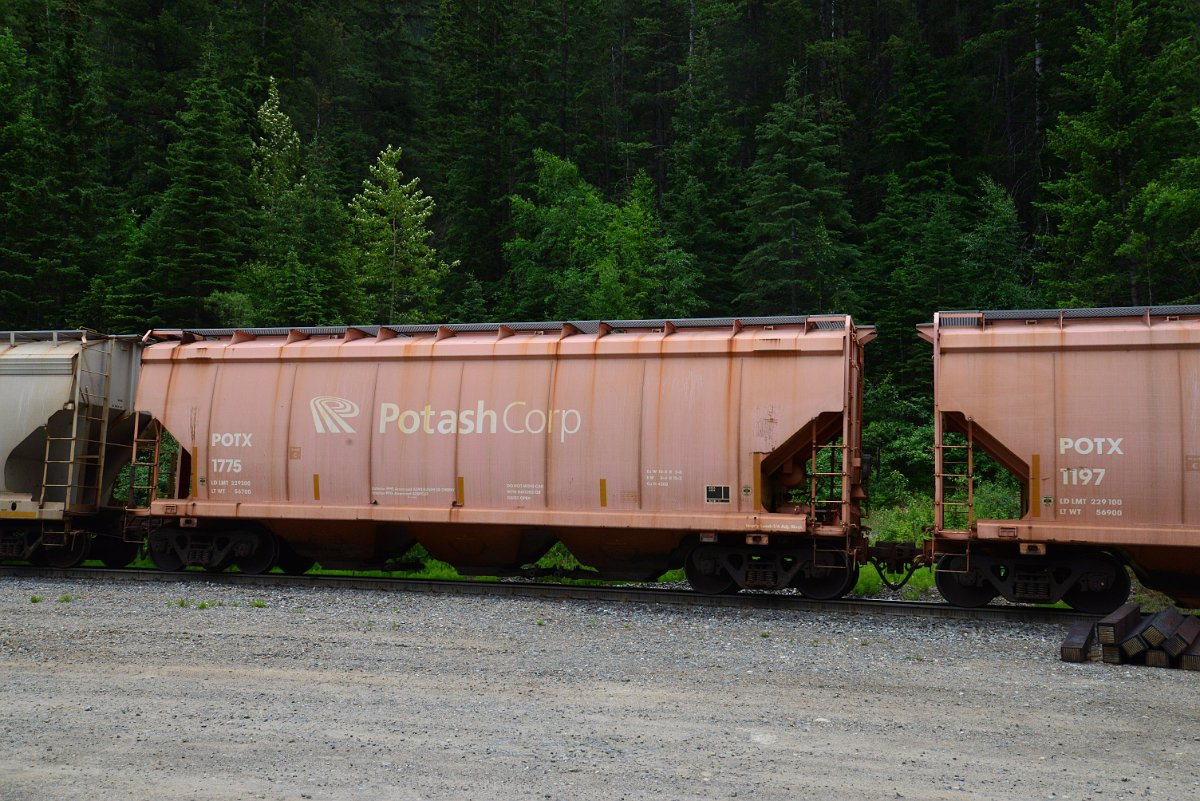 DSC_2024.JPG