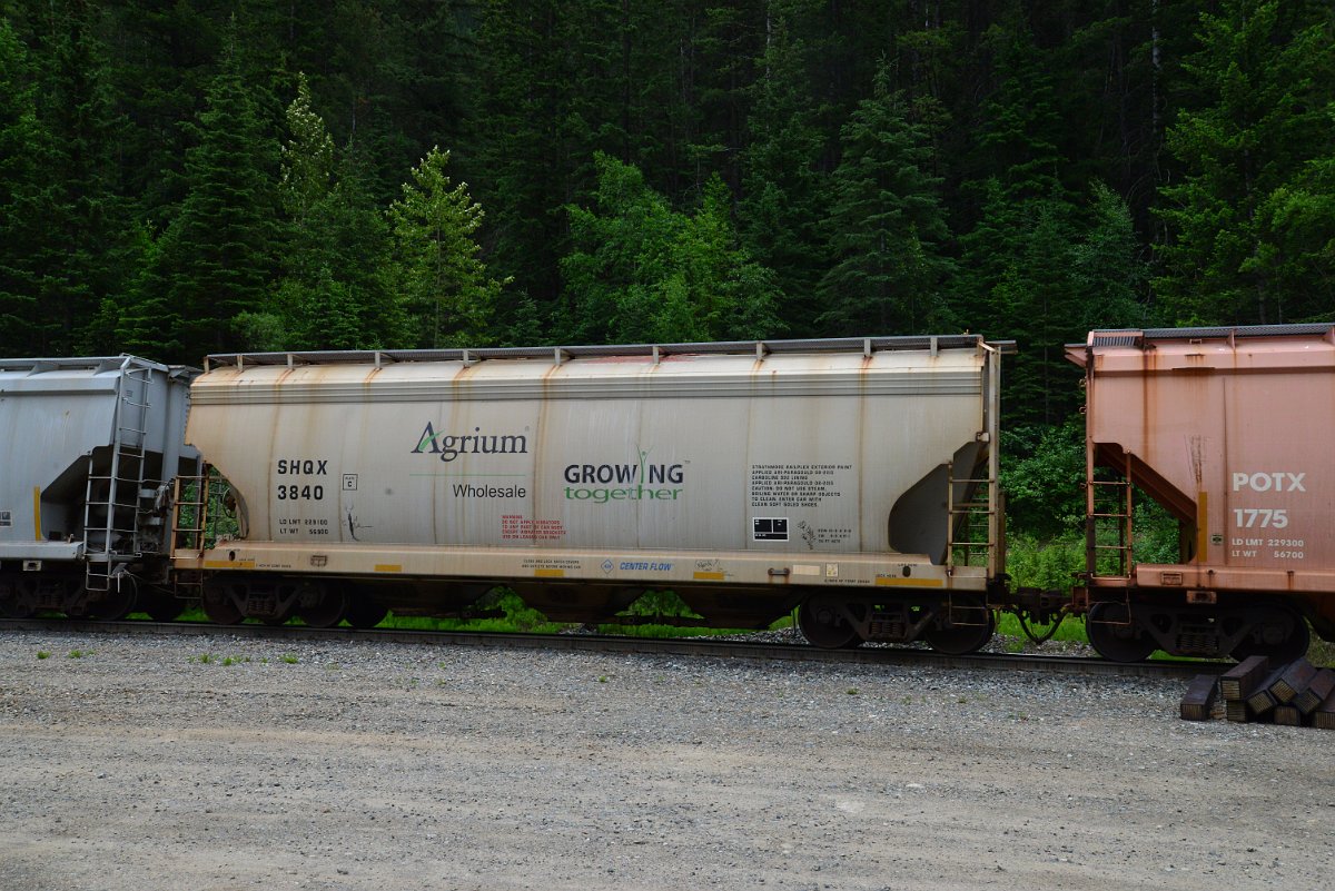 DSC_2025.JPG
