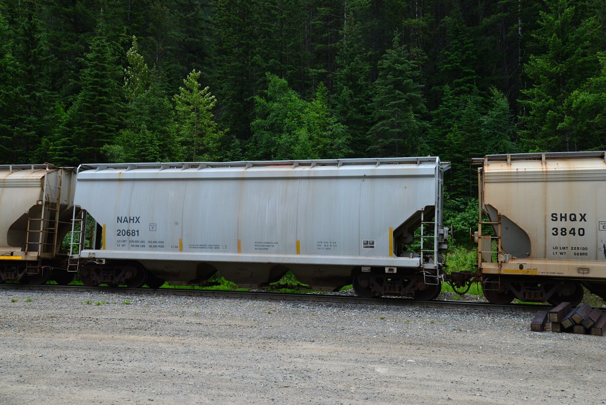 DSC_2026.JPG
