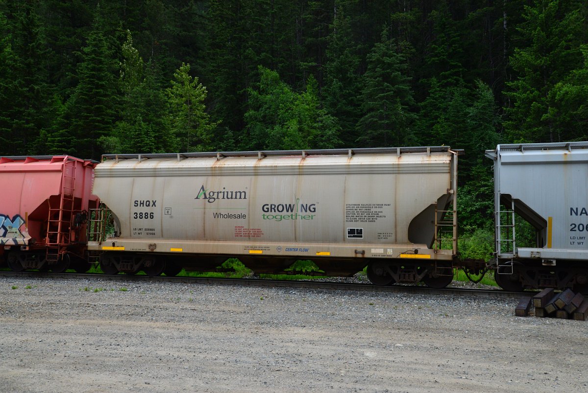 DSC_2027.JPG