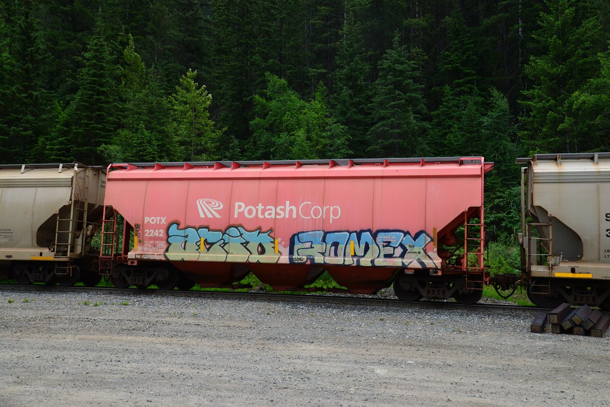 DSC_2028.JPG