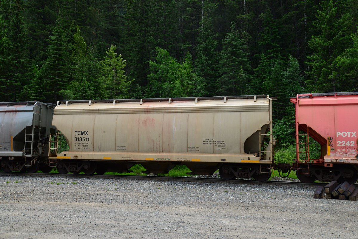 DSC_2029.JPG