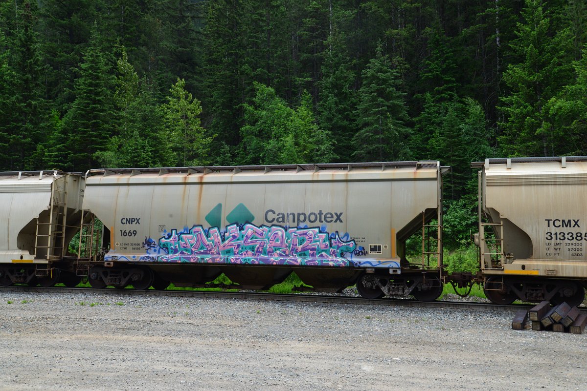 DSC_2038.JPG
