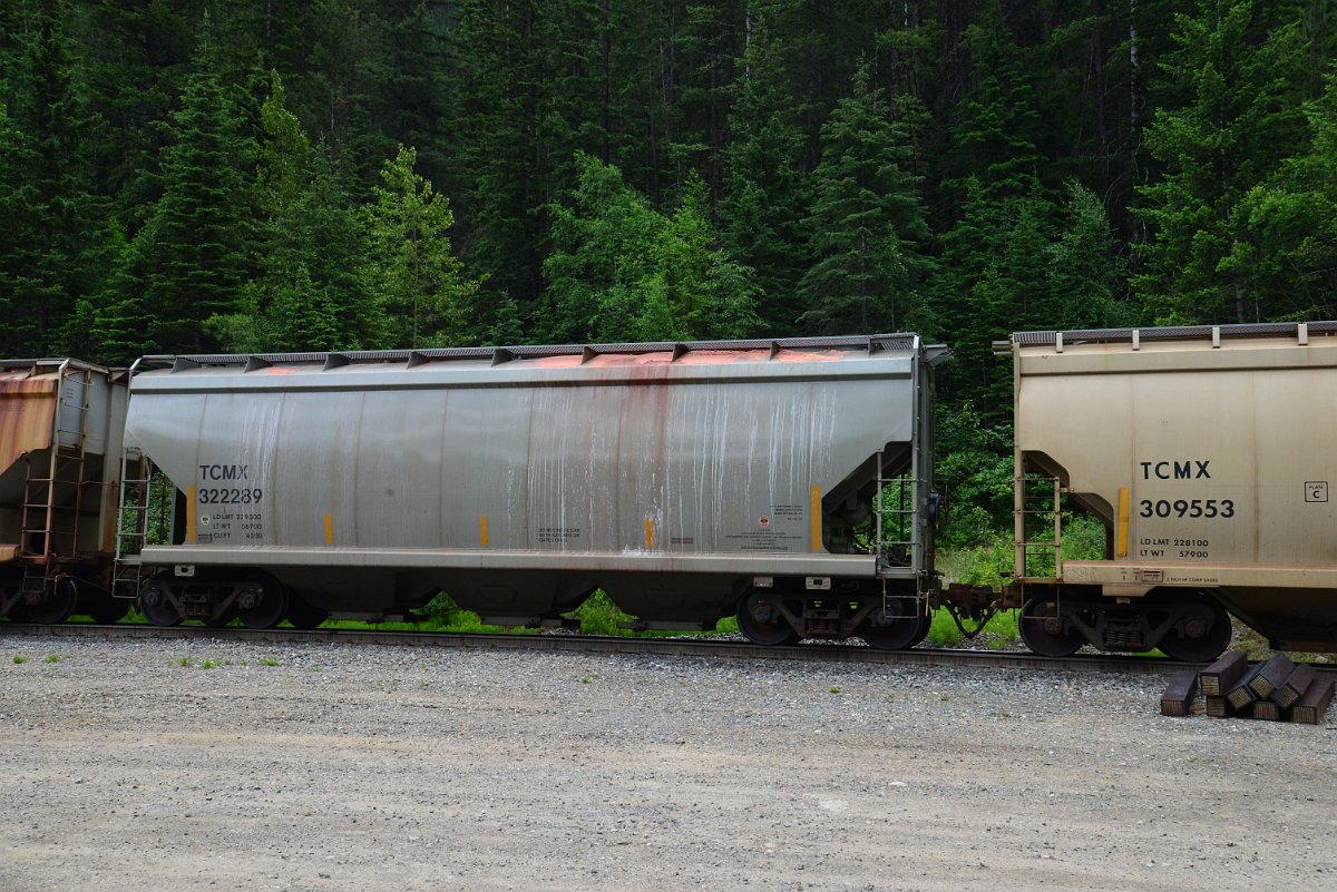 DSC_2044.JPG